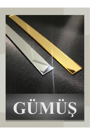 GÜMÜŞ